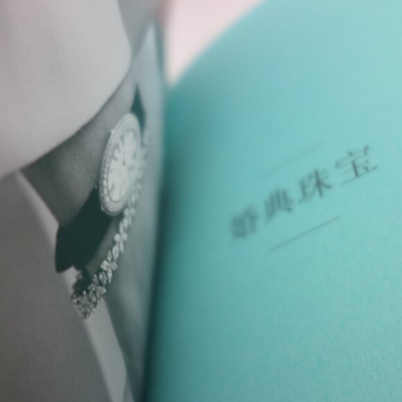 Tiffany & Co. This Is A Tiffany Ring Book (Chinese) - Picture 14 of 16